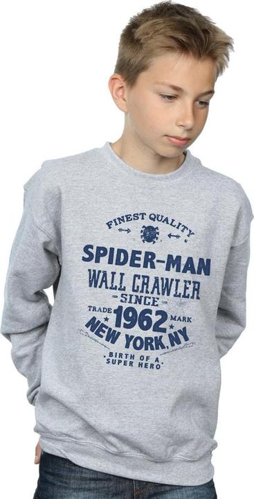 Image du produit - Sweat SPIDER-MAN FINEST QUALITY - Garçon (116)