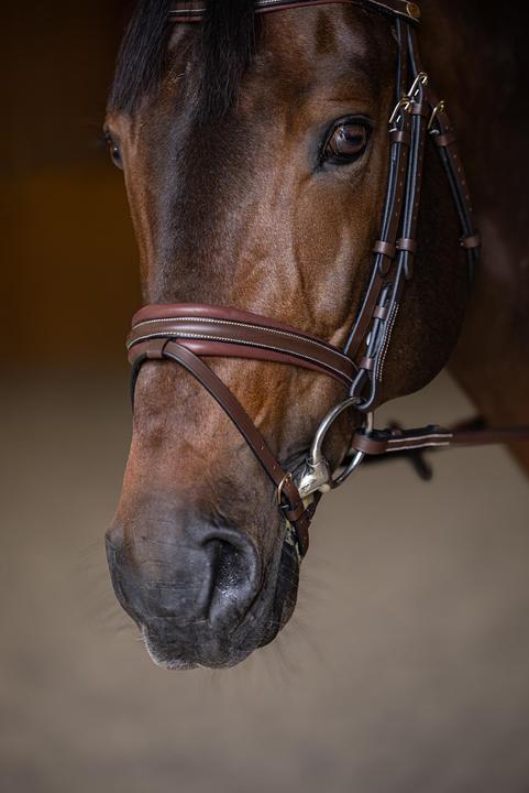 Immagine prodotto HFI Master Padded