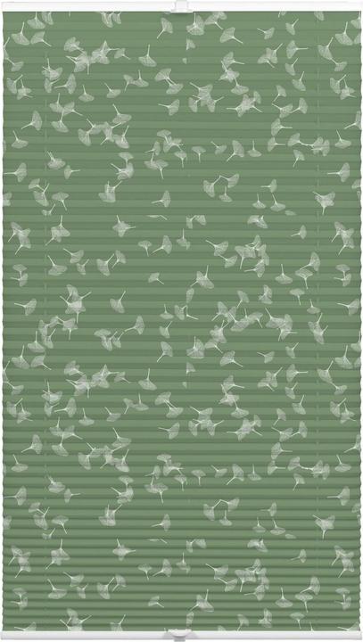 Gardinia Plissée Japandi Ginkgo 50 x 130 cm, Olivgrün (50 x 130 cm)