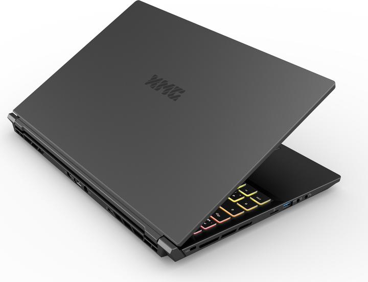 Actual product image XMG Pro 15 – E21jfd (15.60", Intel Core i7-10870H, 16 GB, 1000 GB, DE)