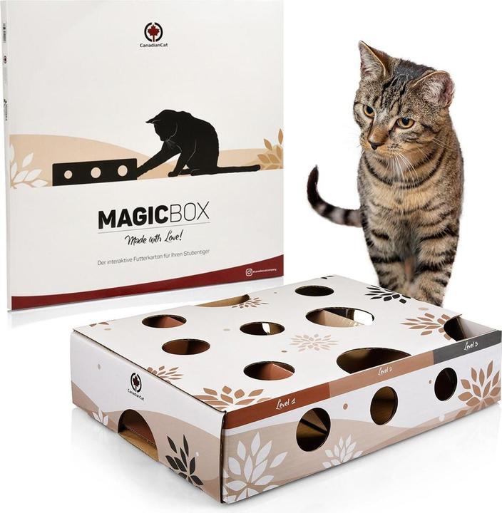 Actual product image CanadianCat Cat Strategy Game MagicBox, Brown-White (Intelligence toy cat)