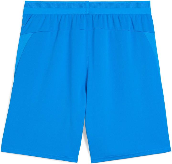 Produktbild Puma teamCUP Shorts (L)