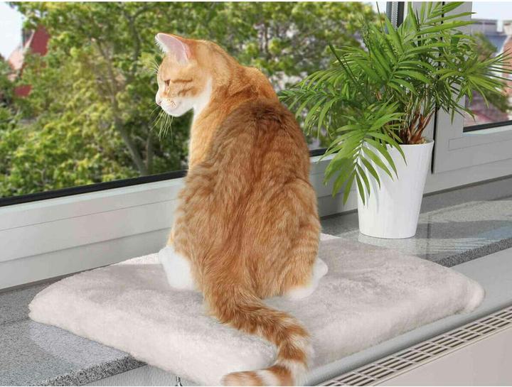 Produktbild Trixie Liegeplatte (Katze)