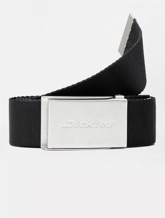 Actual product image Dickies Brookston Belt
