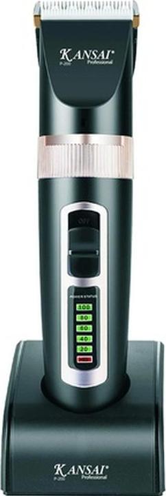 Immagine prodotto Kansai Esperto di P-200
