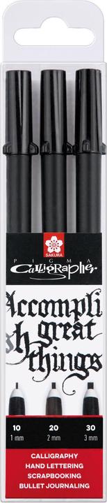 Produktbild Sakura Pigma Calligrapher (3x)
