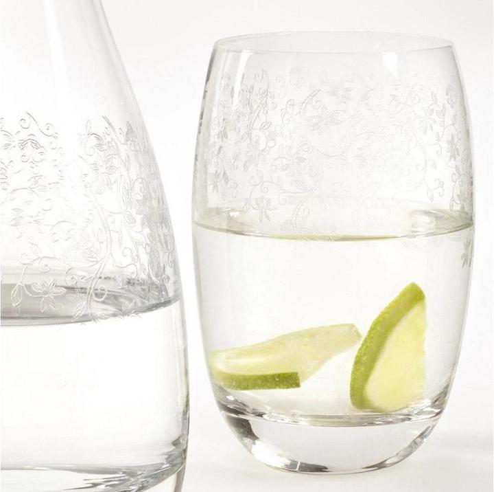 Actual product image Leonardo Chateau (0.46 l, 1x)