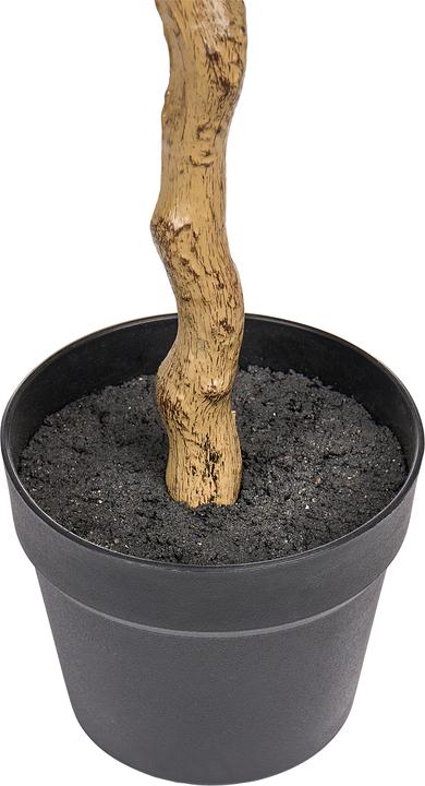 Produktbild Beliani Magnolia Tree (128 cm)