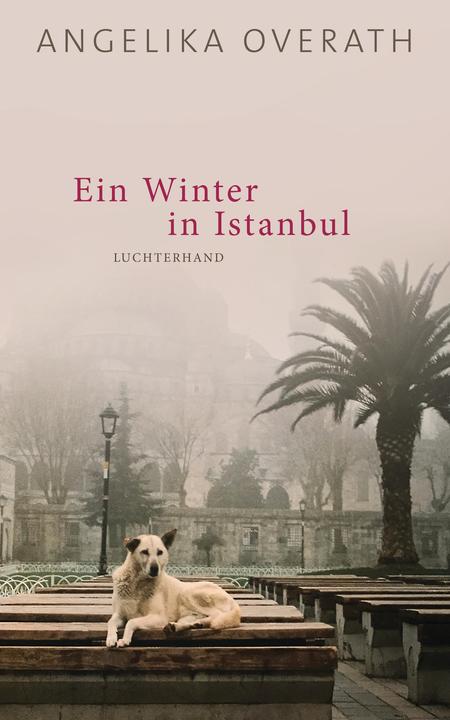 Produktbild Ein Winter in Istanbul (Deutsch, Angelika Overath, 2018)