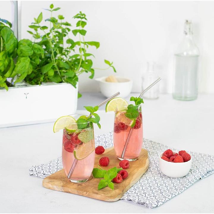 Immagine prodotto Véritable Menta marocchina (Semi di erbe)