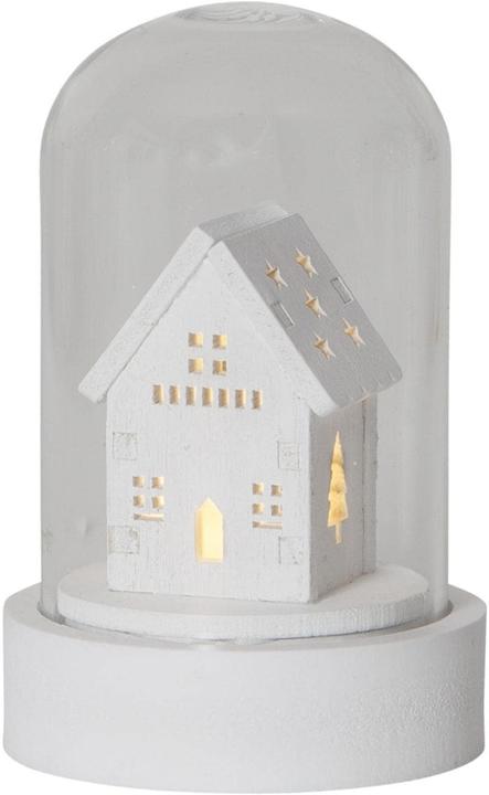 Image du produit Star Trading Kupol