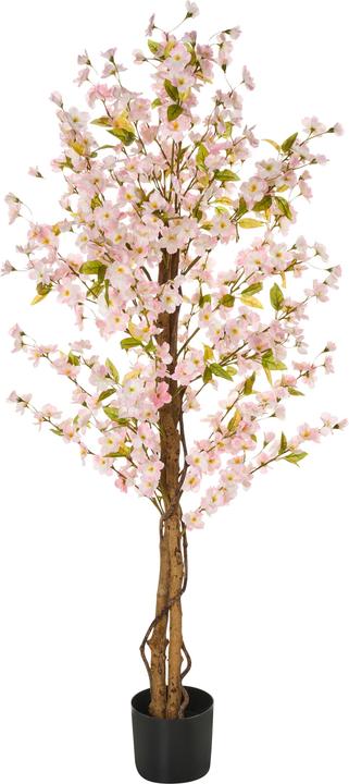 Immagine prodotto Beliani Sakura (150 cm)