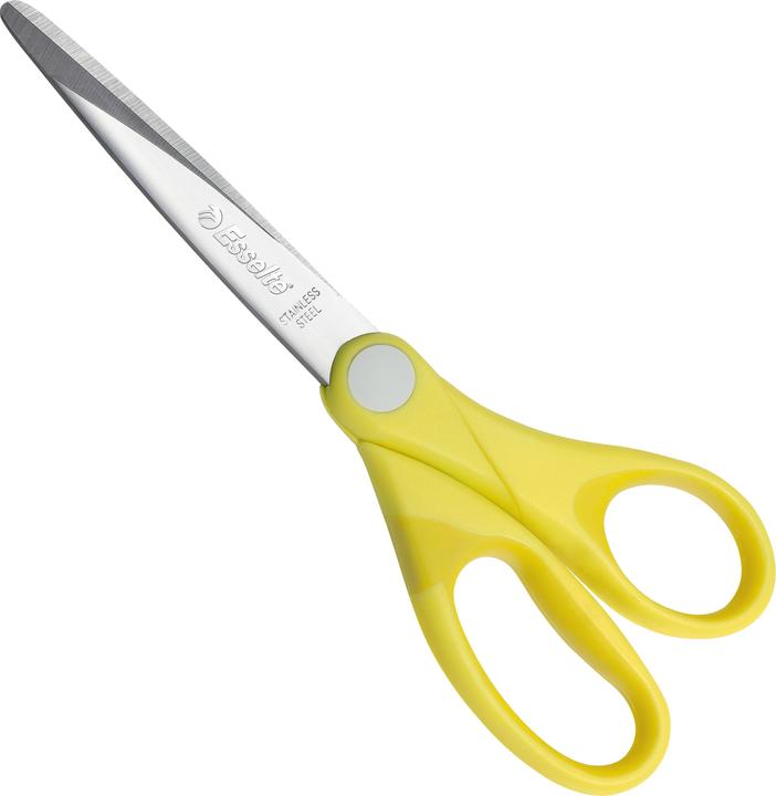 Actual product image Esselte COLOUR'ICE - Scissors (18 cm)