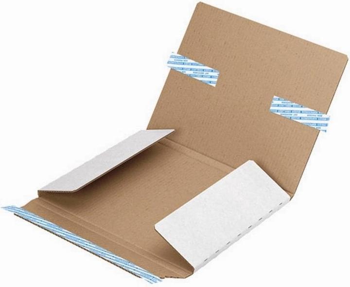 Immagine prodotto Brieger Busta di spedizione 500 x 350 x 10 mm, 1 pezzo (1 x 82 x 72,5 cm, 1 x)