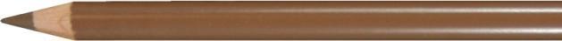 Produktbild Faber-Castell Farbstift Polychromos bister 179 (Bister, 1 x)