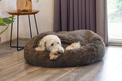 Image du produit Beeztees Hundebett Yala (Chien)