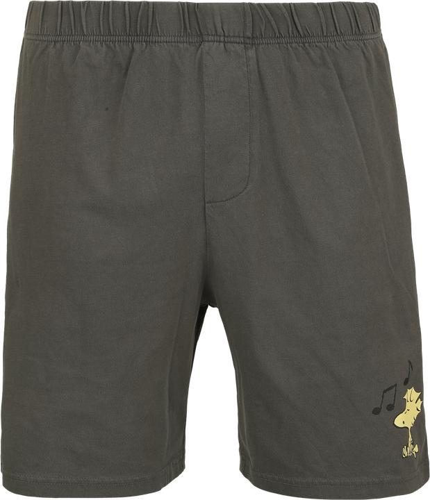 Produktbild Peanuts Snoopy und Woodstock (S)