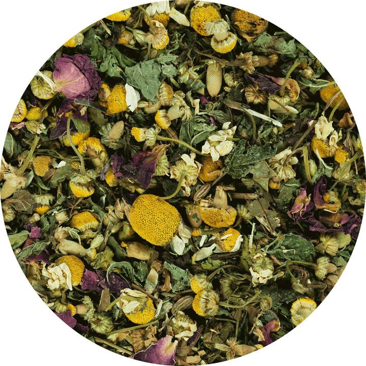 Produktbild Terra Canis Kräuterhelden Pudelwohl für Magen-Darm (Adult, 1 Stk., 100 g)