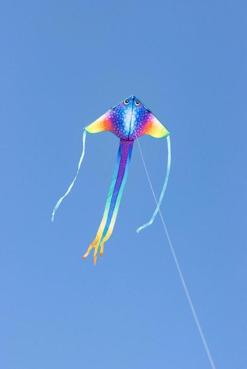 Immagine prodotto Invento Cerf-volant Simple Flyer Manta I