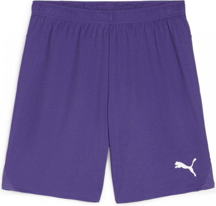 Actual product image Puma teamGOAL shorts (3XL)