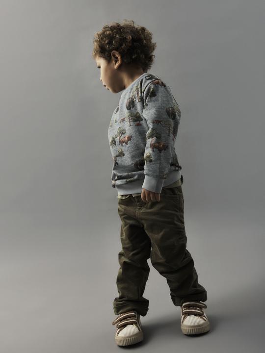 Produktbild Name it Regular Fit Sweatshirt (86)