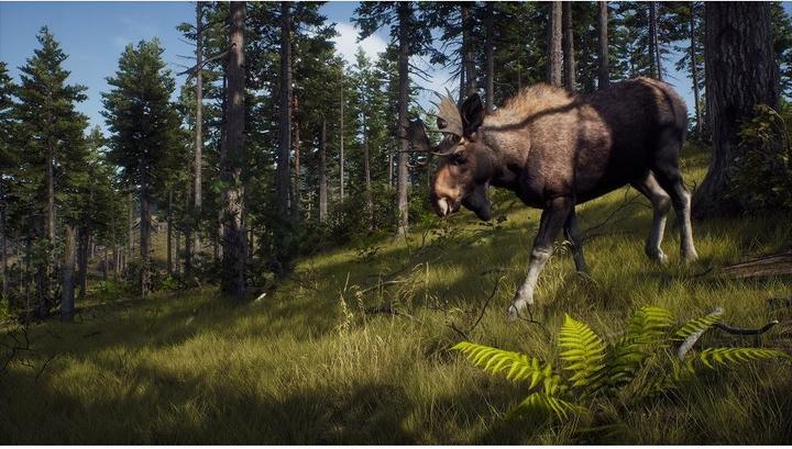 Image du produit THQ Way of the Hunter (Xbox Series X, DE)