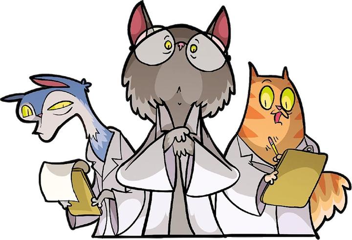 Image du produit Gigamic Les chats de Schrodinger (f) (Français)