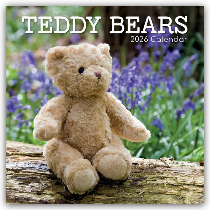 Produktbild Gifted Stationery Co. Ltd:Teddy Bears -