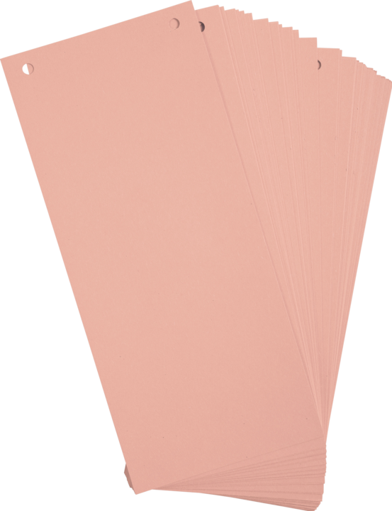 Actual product image Exacompta Separator strips 10.5 x 24 cm, 100 pcs - pink