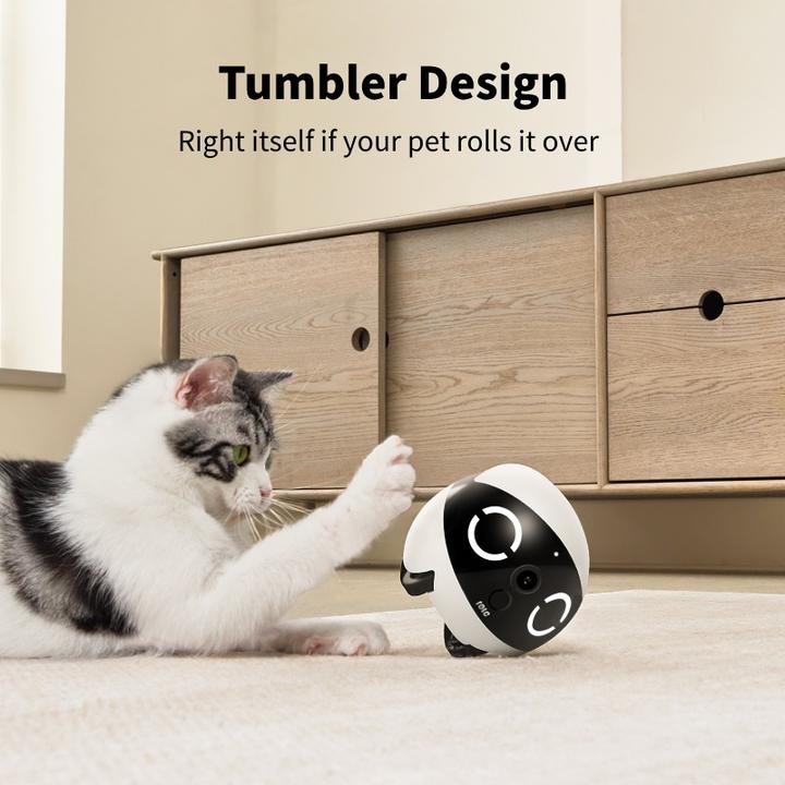 Actual product image Enabot Rola Mini Companion Robot (2304 x 1296 Pixels)