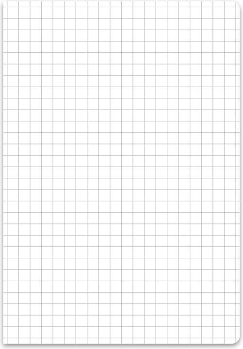 Immagine prodotto Staufen Blocco note a spirale Premio, rilegatura a spirale, 90 g/m², A5,5mm a scacchiera, LIN5, 40 fogli (A5, Quadretti, Copertina morbida)