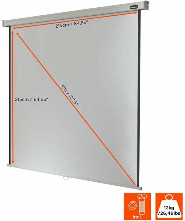 Actual product image Celexon Canvas Pro (119.69", 1:1)
