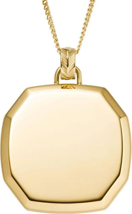 Image du produit Fossil JF04961710 Collier (Acier inoxydable)