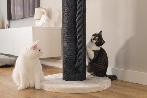 Image du produit Beeztees Tura (100 cm, Marron, Beige)