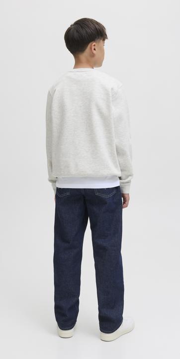 Produktbild Jack & Jones Jcotier Print Sweat Crew Neck Sn Jnr (128)