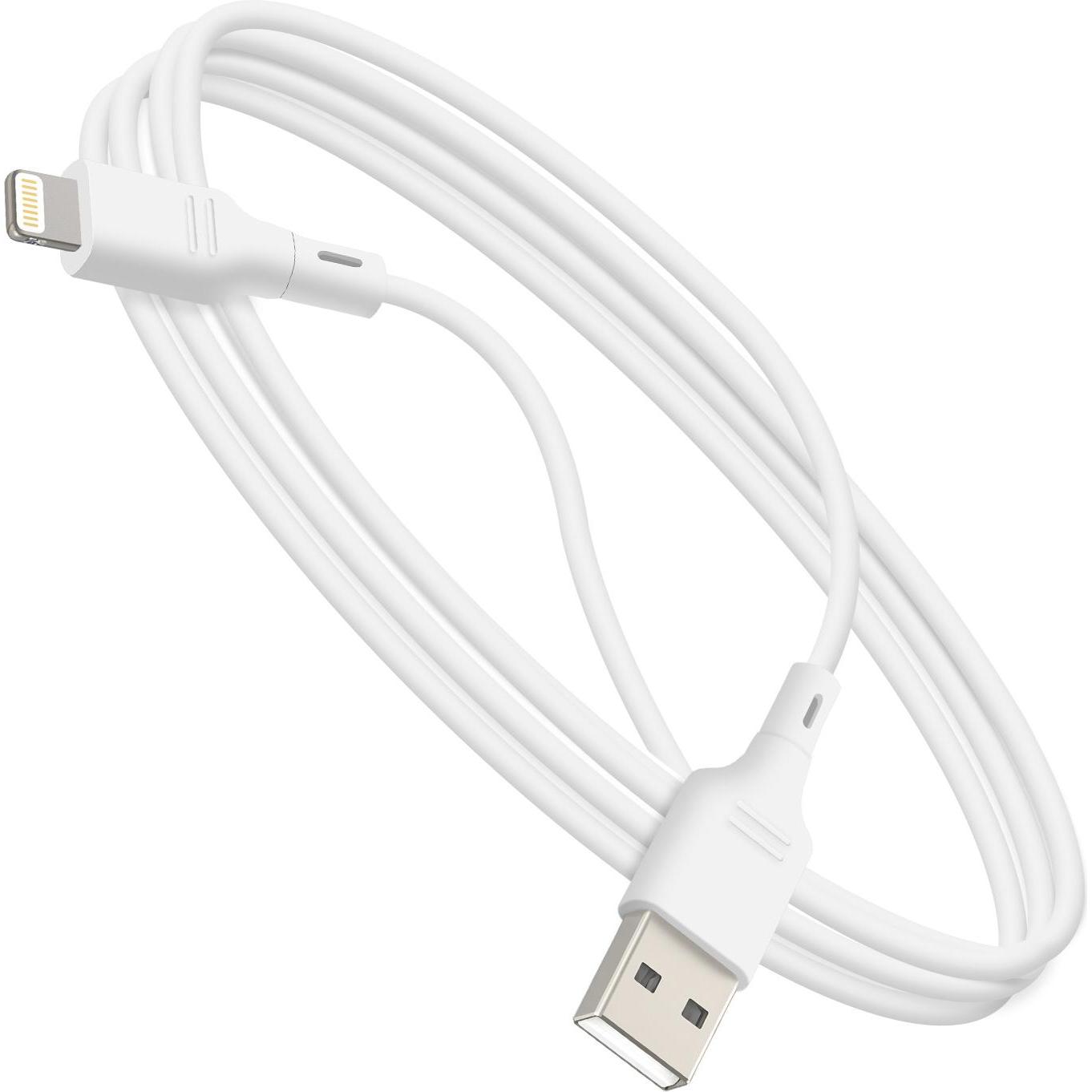Blue Star Premier USB / Lightning Lade- und Datenübertragungskabel (1 m, USB 3.2 Gen 1), USB Kabel