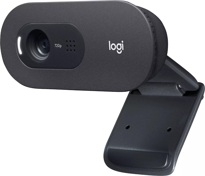 Actual product image Logitech C505e (0.90 Mpx)