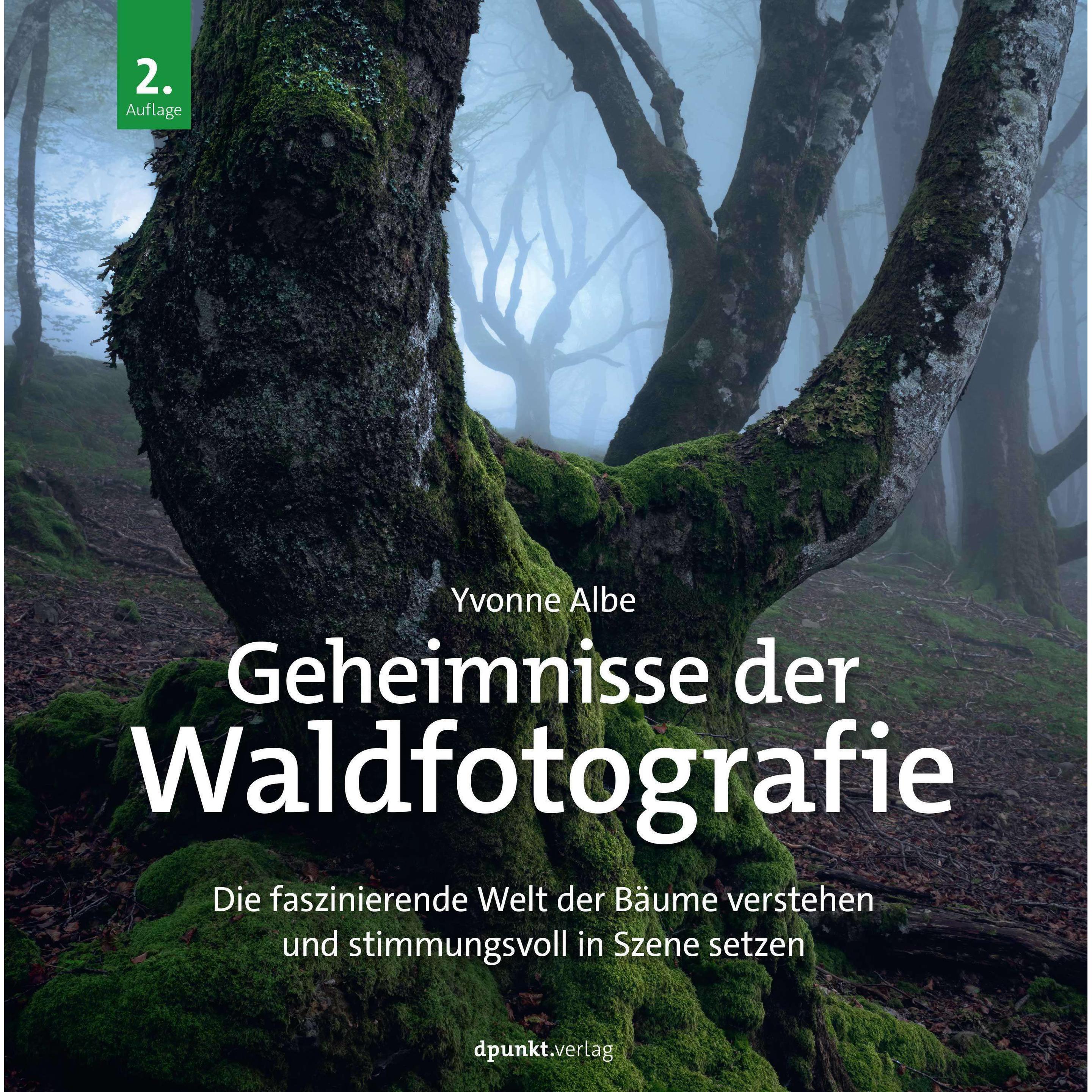 Thumbnail - Geheimnisse der Waldfotografie, Ratgeber von Yvonne Albe