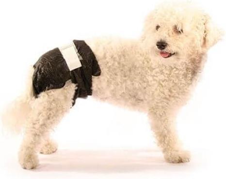 Actual product image Swisspet Einwegwindeln (Dog)