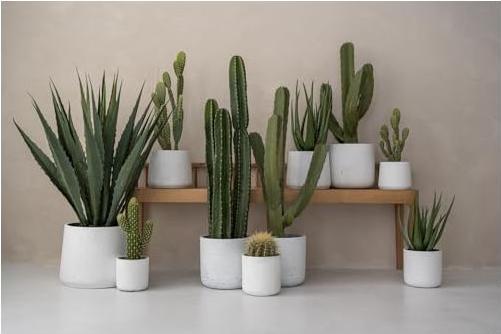 Image du produit Pottery Pots Patt XL (23 x 19.50 cm)