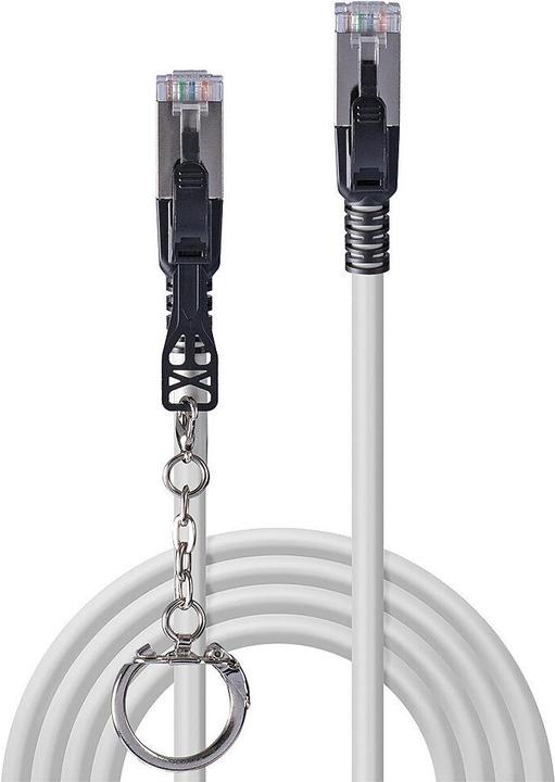 Produktbild Lindy Cat., S/FTP, Security Network Cable, Grey (S/FTP, CAT6a, 0.50 m)