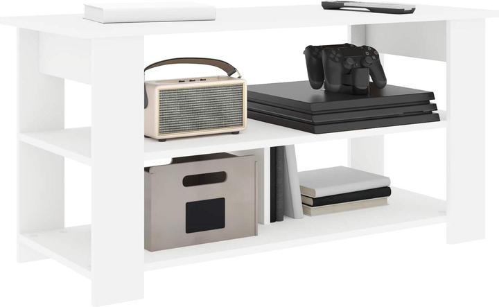 Actual product image vidaXL TV-Ständer (100 x 40 x 50 cm)