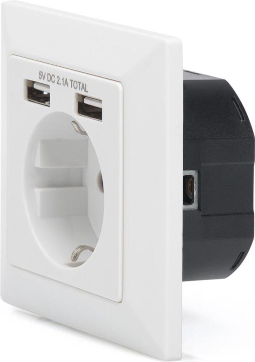 Actual product image Digitus Socket with 2 USB ports
