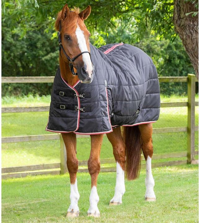 Produktbild Premier Equine Garissa 100 g (206 cm)