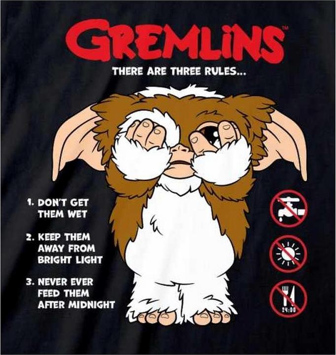 Produktbild Gremlins The Rules TShirt (S)