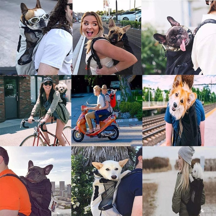 Produktbild Flkennel Hunderucksack (Hund, Faltbar)