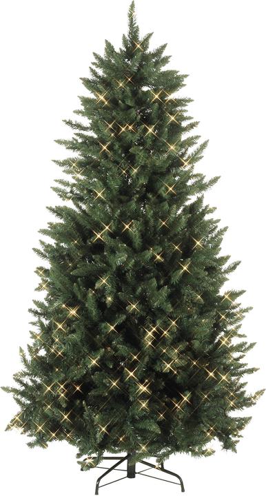 Star Trading Calgary (210 cm)