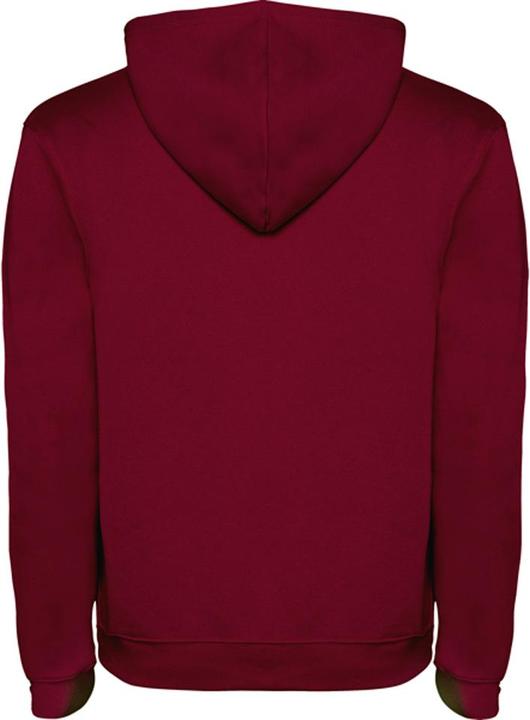 Produktbild Alpinia Urban Sweatshirt mit Kapuze (L)