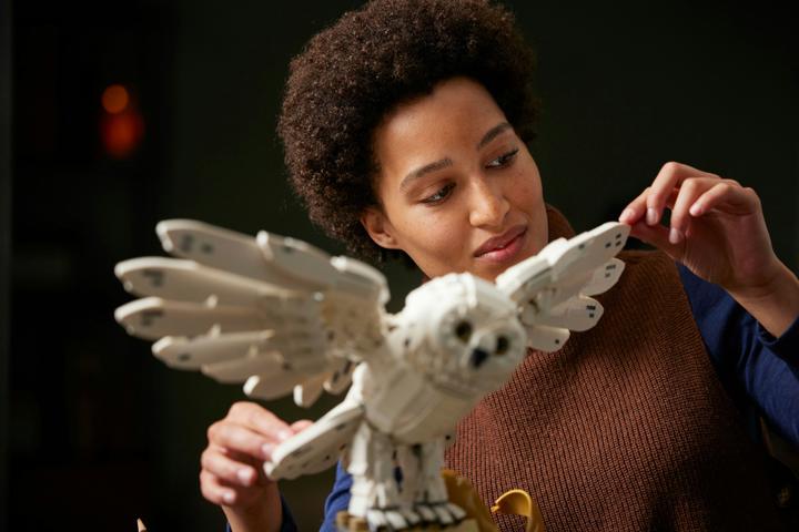 Image du produit LEGO Icônes de Poudlard - Édition Collector (76391, LEGO Harry Potter, LEGO difficiles à trouver)