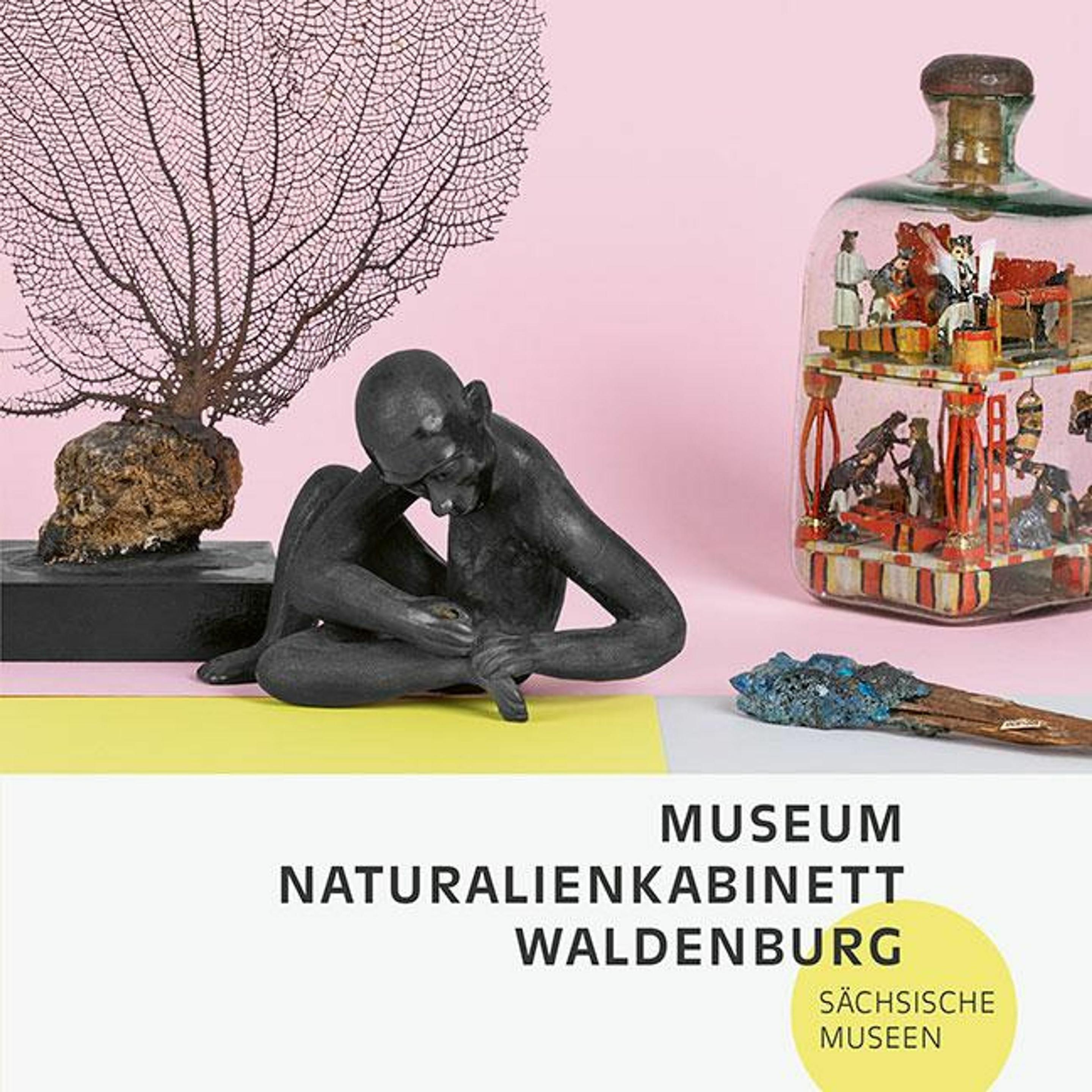 Thumbnail - Museum Naturalienkabinett Waldenburg, Fachbücher von Katja Margarethe Mieth, Fanny Stoye, Museum Naturalienkabinett Wald...